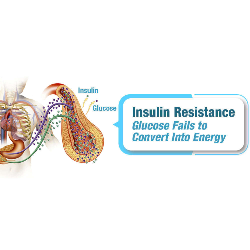 GFOUK™ SucrosePro Ionic Balance Wristband 💥