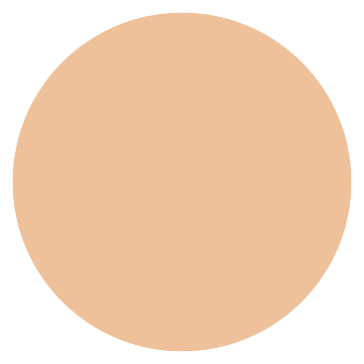 ELPOEL Blanc Cover Cream Stick V with Detachable Brush_Ultra02