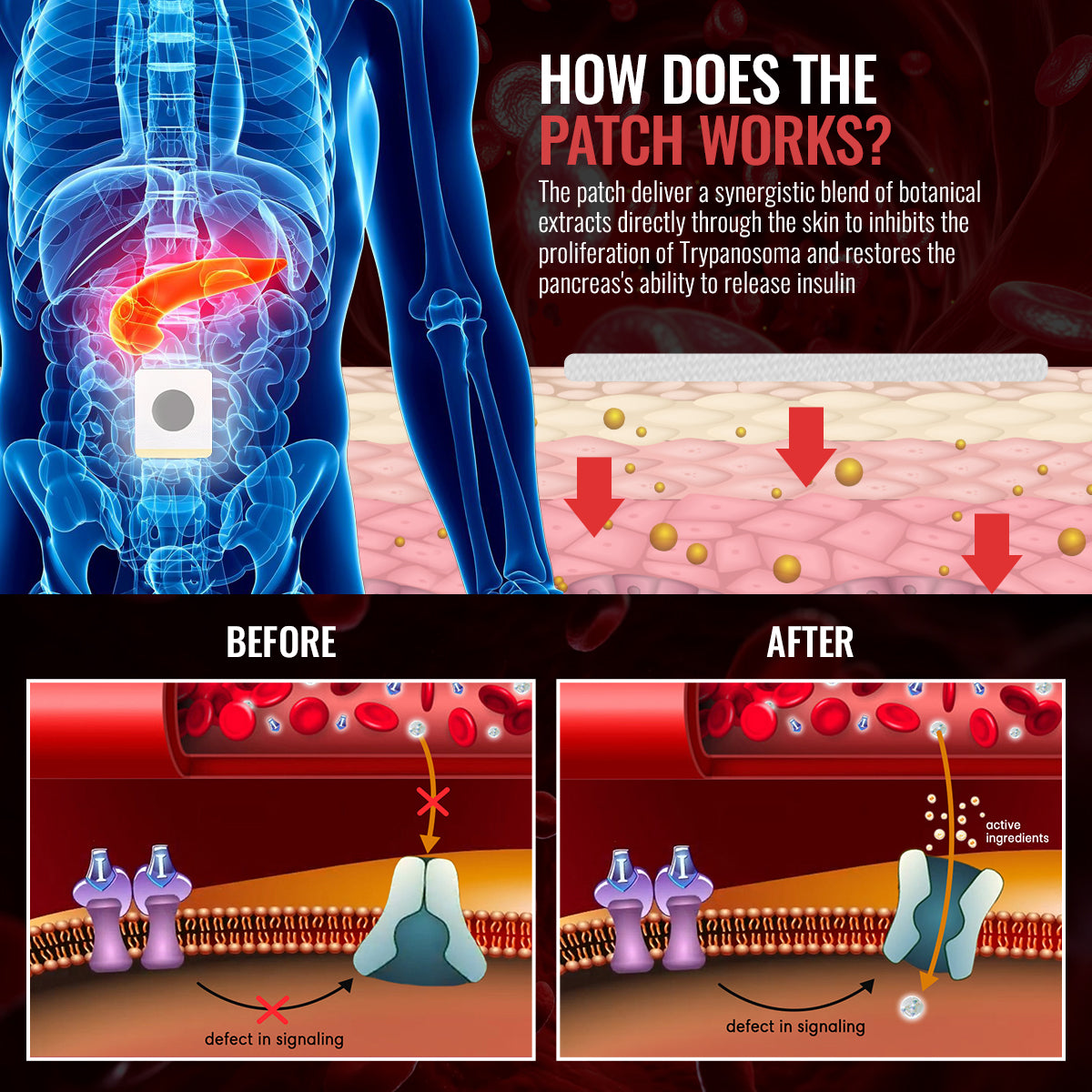 Luhaka™ GlucoShield Blood Sugar Belly Patch 🔥