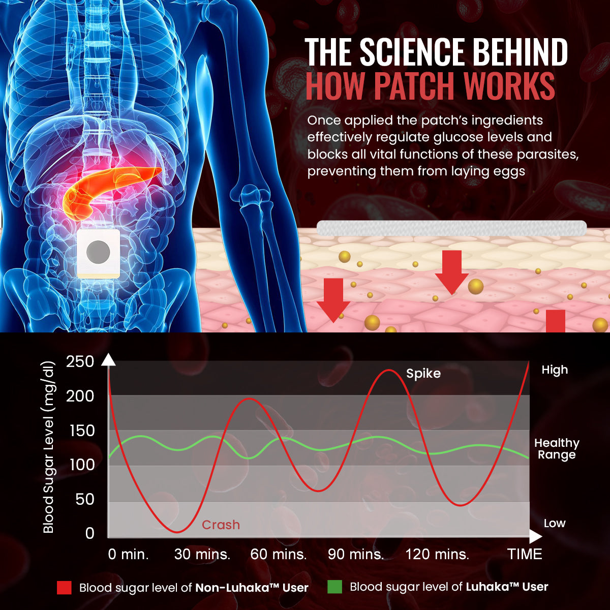 Luhaka™ GlucoShield Blood Sugar Belly Patch - Anti-Parasites 10