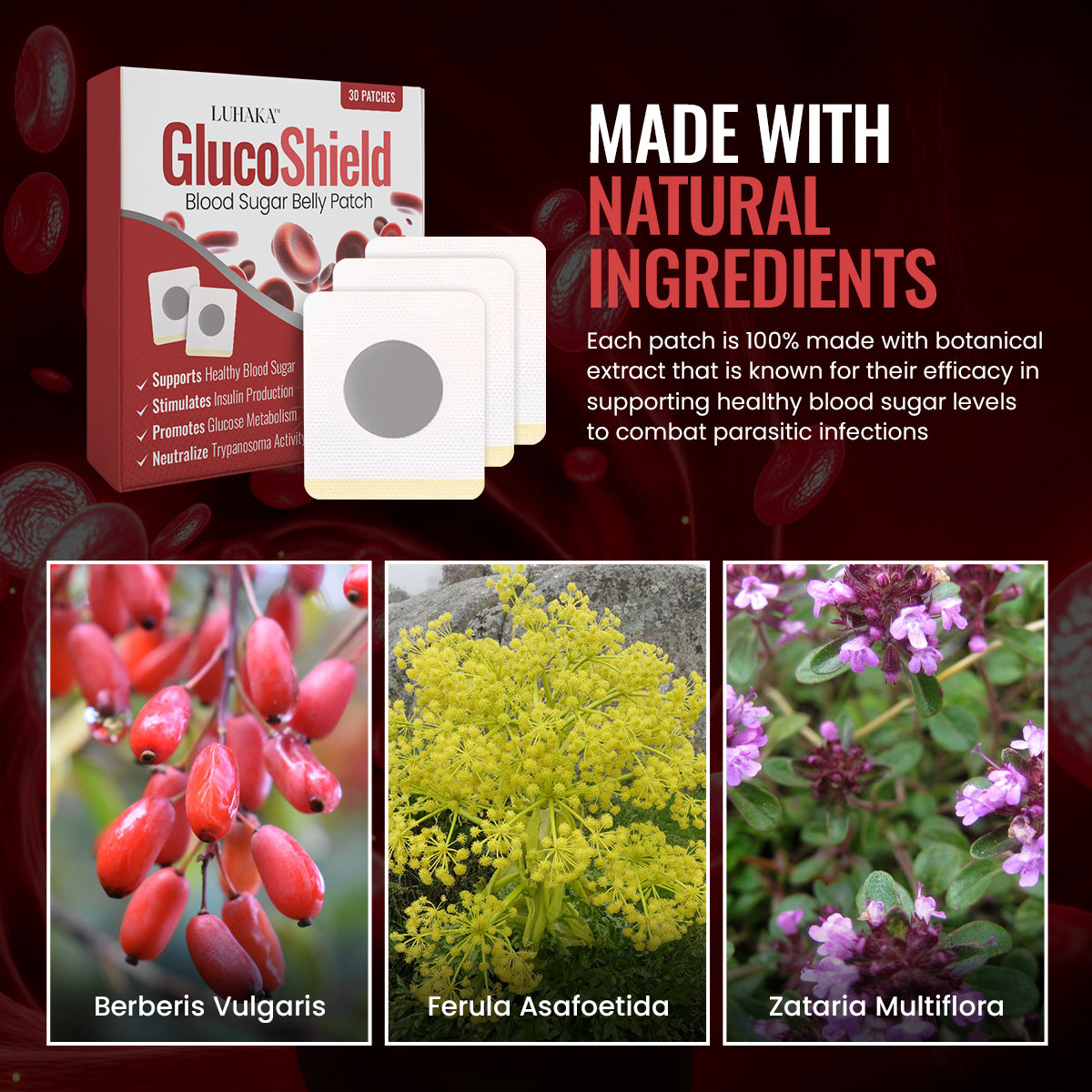 Luhaka™ GlucoShield Blood Sugar Belly Patch - Anti-Parasites 10
