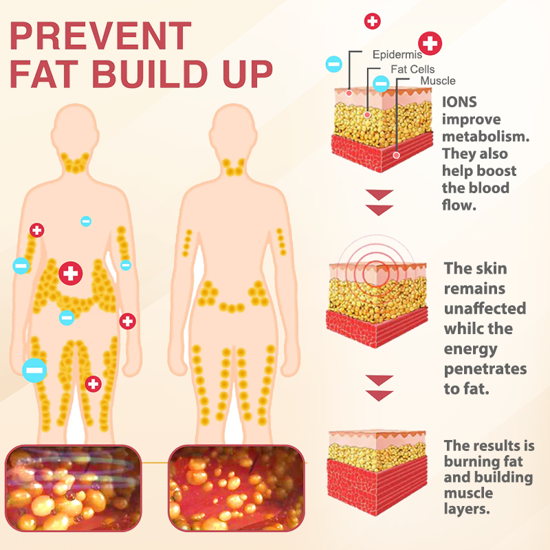 KISSHI™ High Waist  Briefs