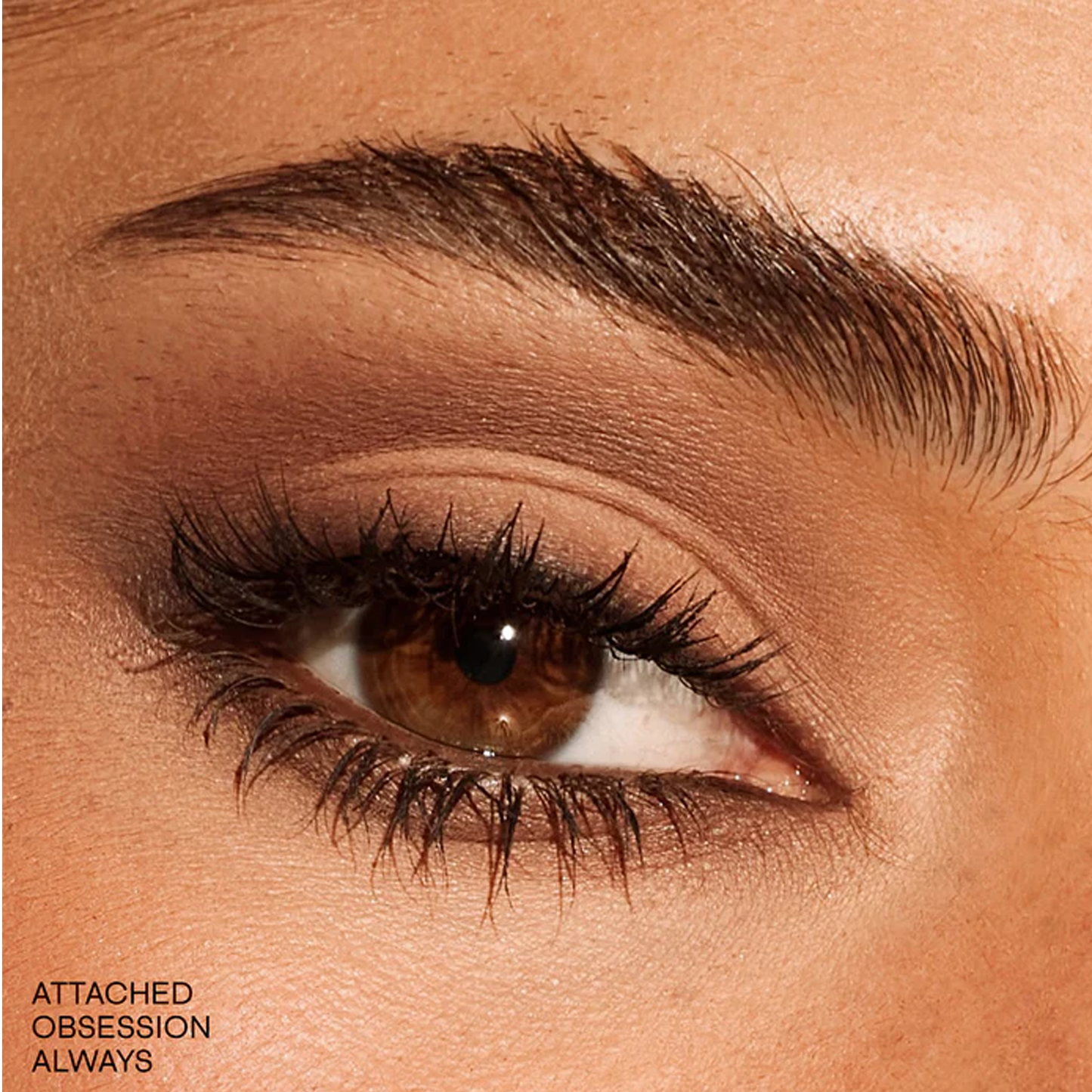 Essential Eye Artistry Set_Ultra01