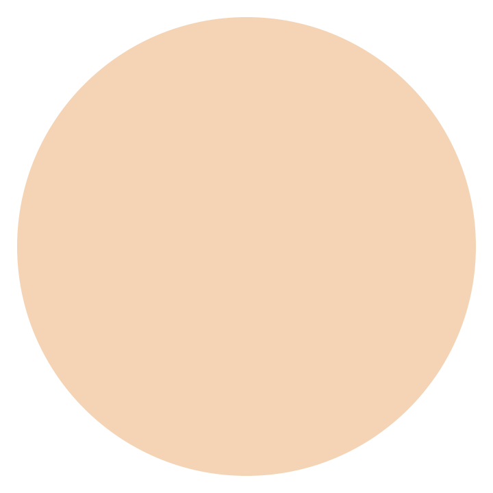 ELPOEL Blanc Cover Cream Stick V with Detachable Brush_Ultra03