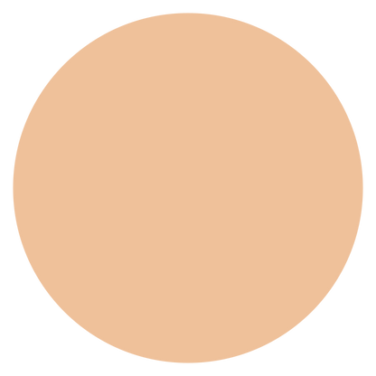 ELPOEL Blanc Cover Cream Stick V with Detachable Brush_Ultra03