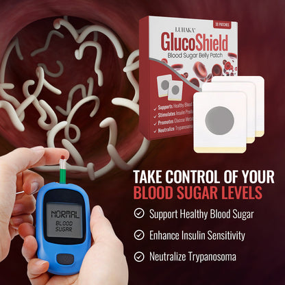Luhaka™ GlucoShield Blood Sugar Belly Patch 🔥