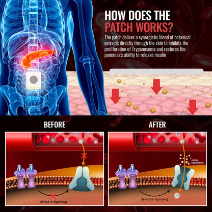 Luhaka™ GlucoShield Blood Sugar Belly Patch 🔥