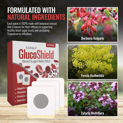 Luhaka™ GlucoShield Blood Sugar Belly Patch 🔥